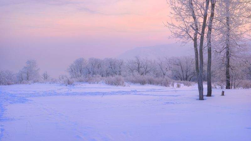 Морозно.photo preview