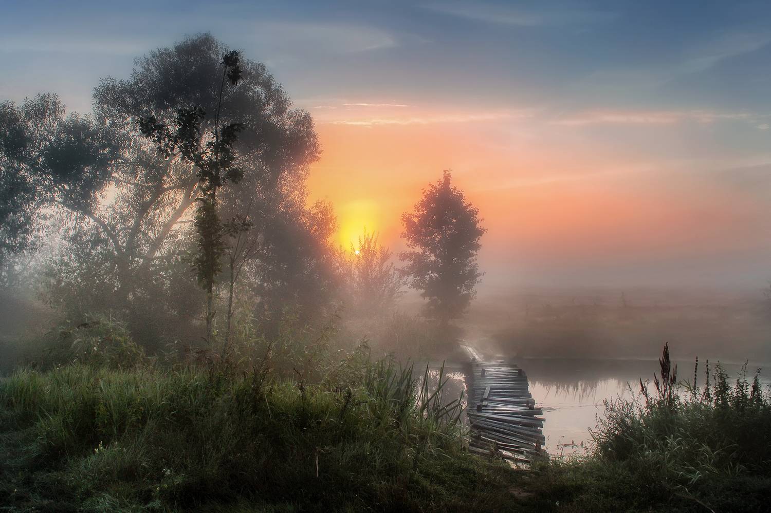 , Игорь Денисов