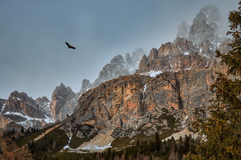 в Альпахphoto preview