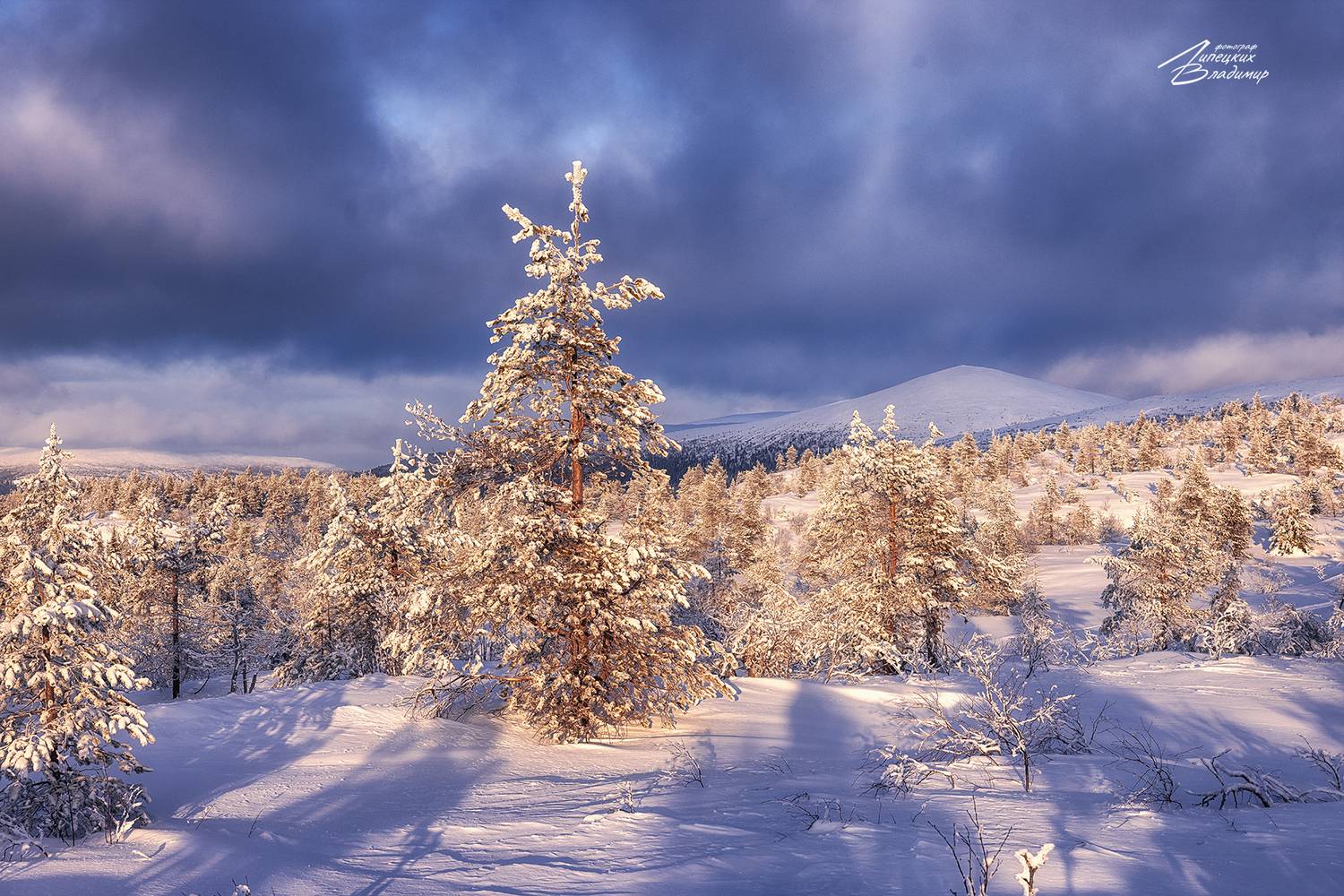 кольский, заполярье, кандалакша, волосяная, Липецких Владимир
