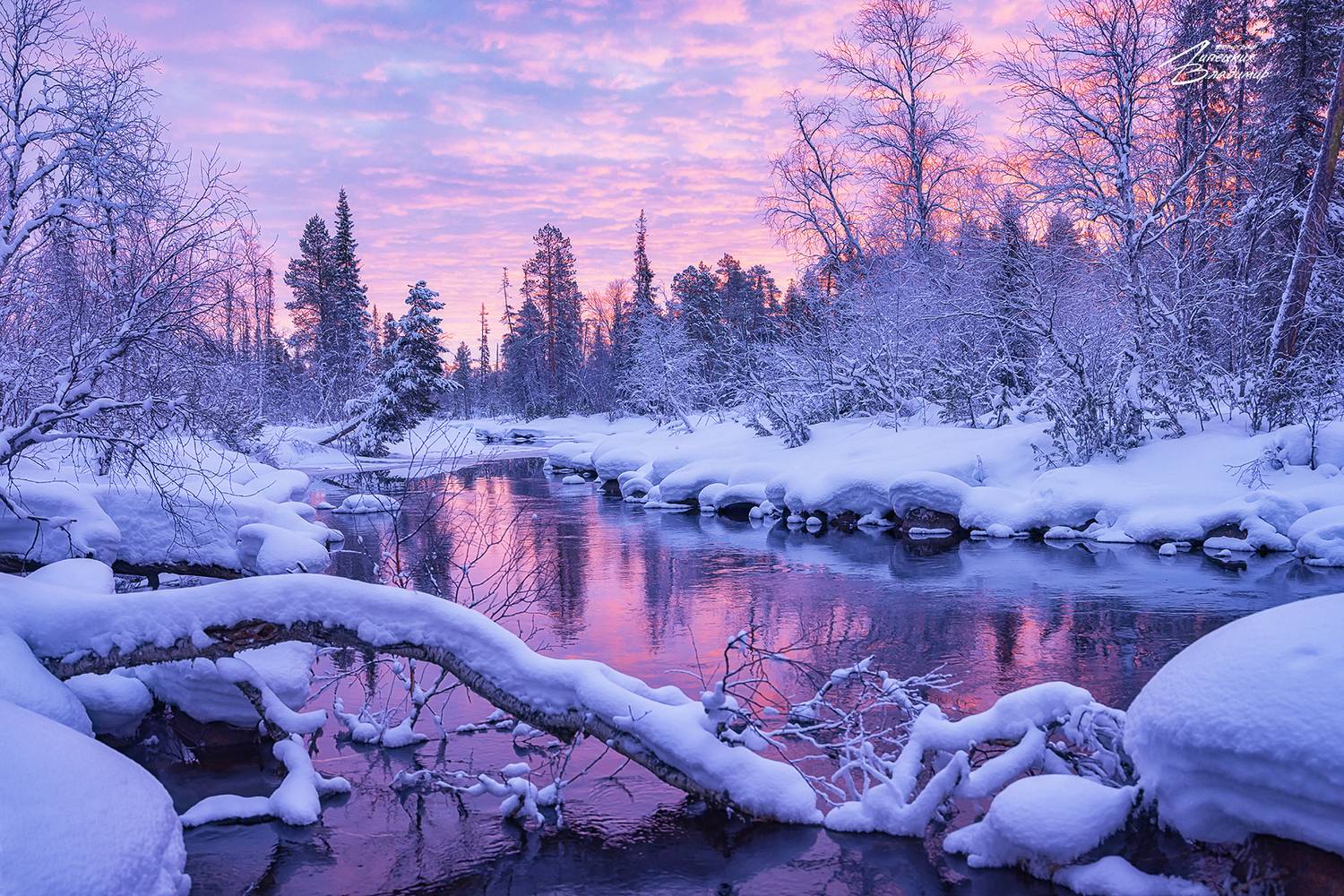 По Кольскому полуострову. Автор: Липецких Владимир кольский, заполярье, река, пауст, Липецких Владимир
