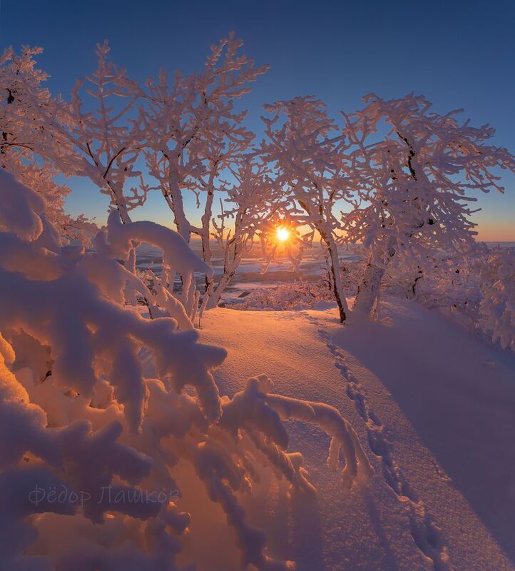 ставропольский край, ставрополье, кавминводы, закат, закатное, иней, зимний, синий, розовый, бештау, в снегу, снежное, гора, лес, дерево, солнце, следы, Снежная зимаphoto preview