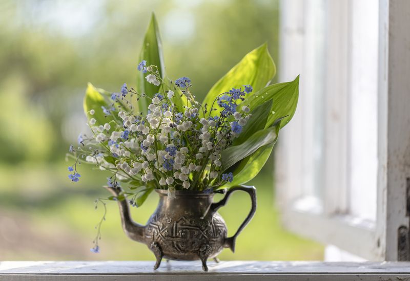 натюрморт, окно, ландыши, незабудки А завтра весна...photo preview