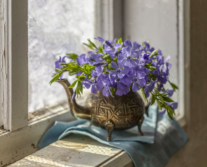 натюрморт, окно А завтра весна...photo preview