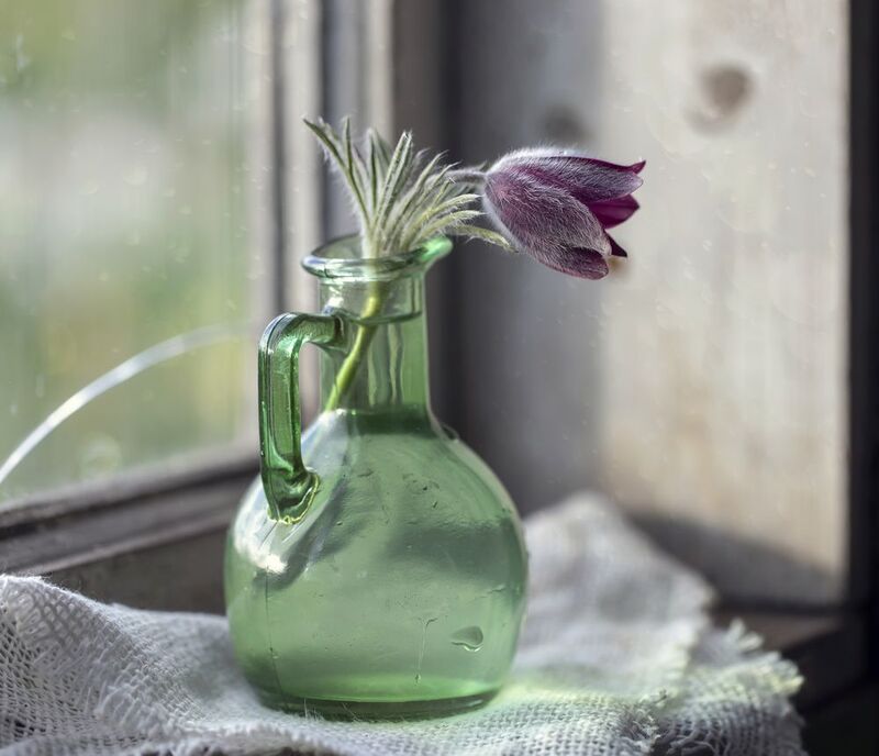 окно, сон-трава А завтра весна...photo preview