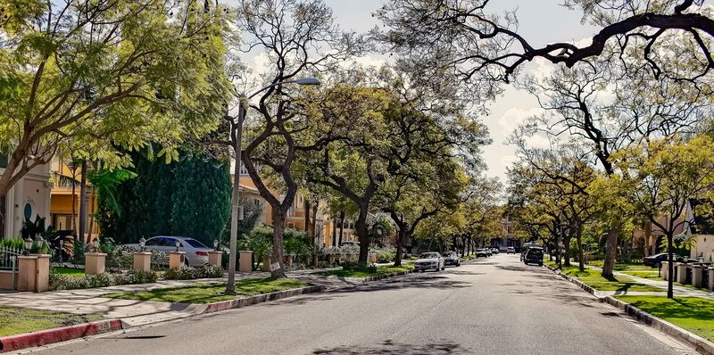 beverly, hills Street of BHphoto preview