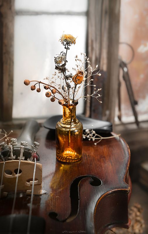 Kicsi csendéletphoto preview