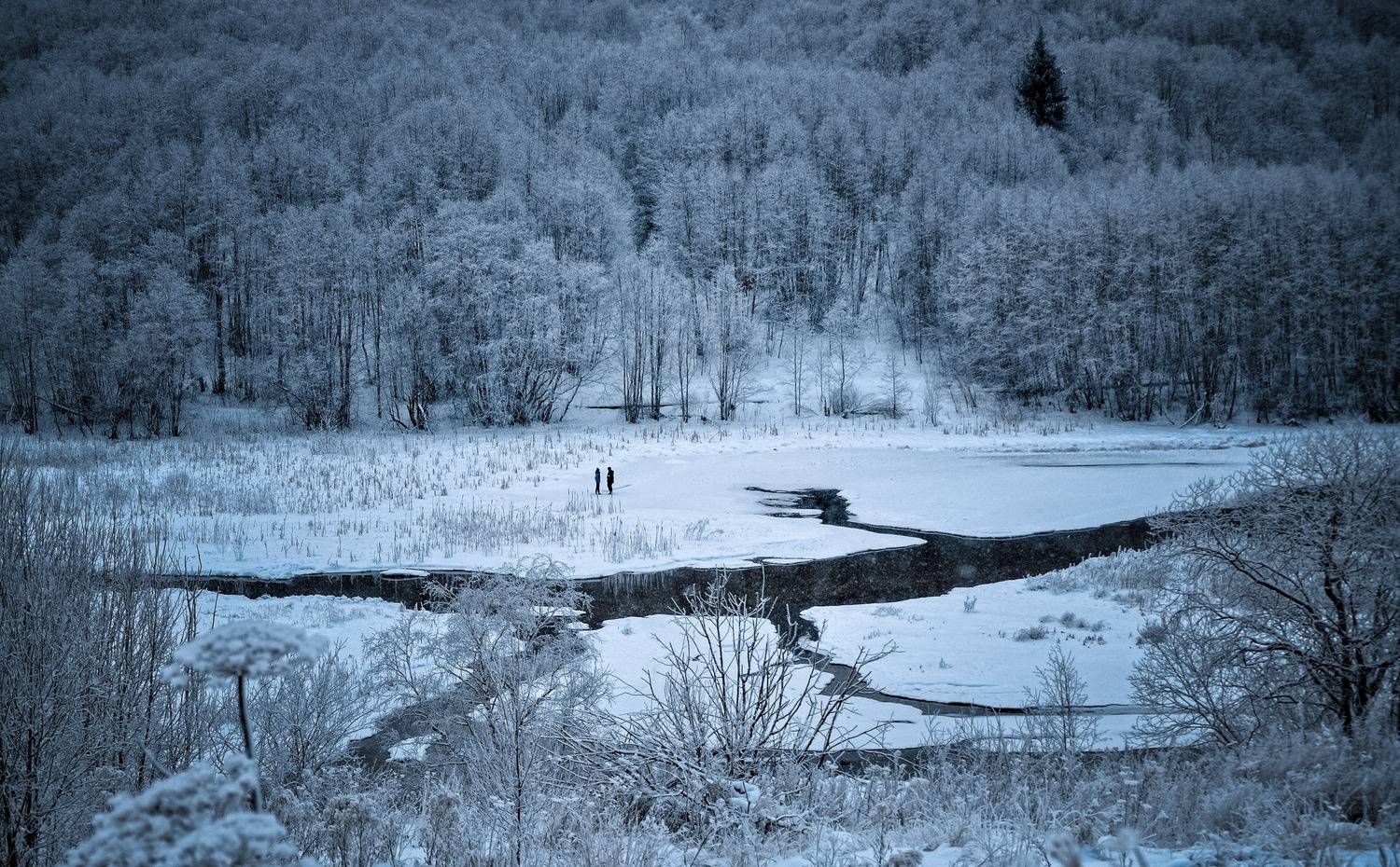 , Андрей Куликов