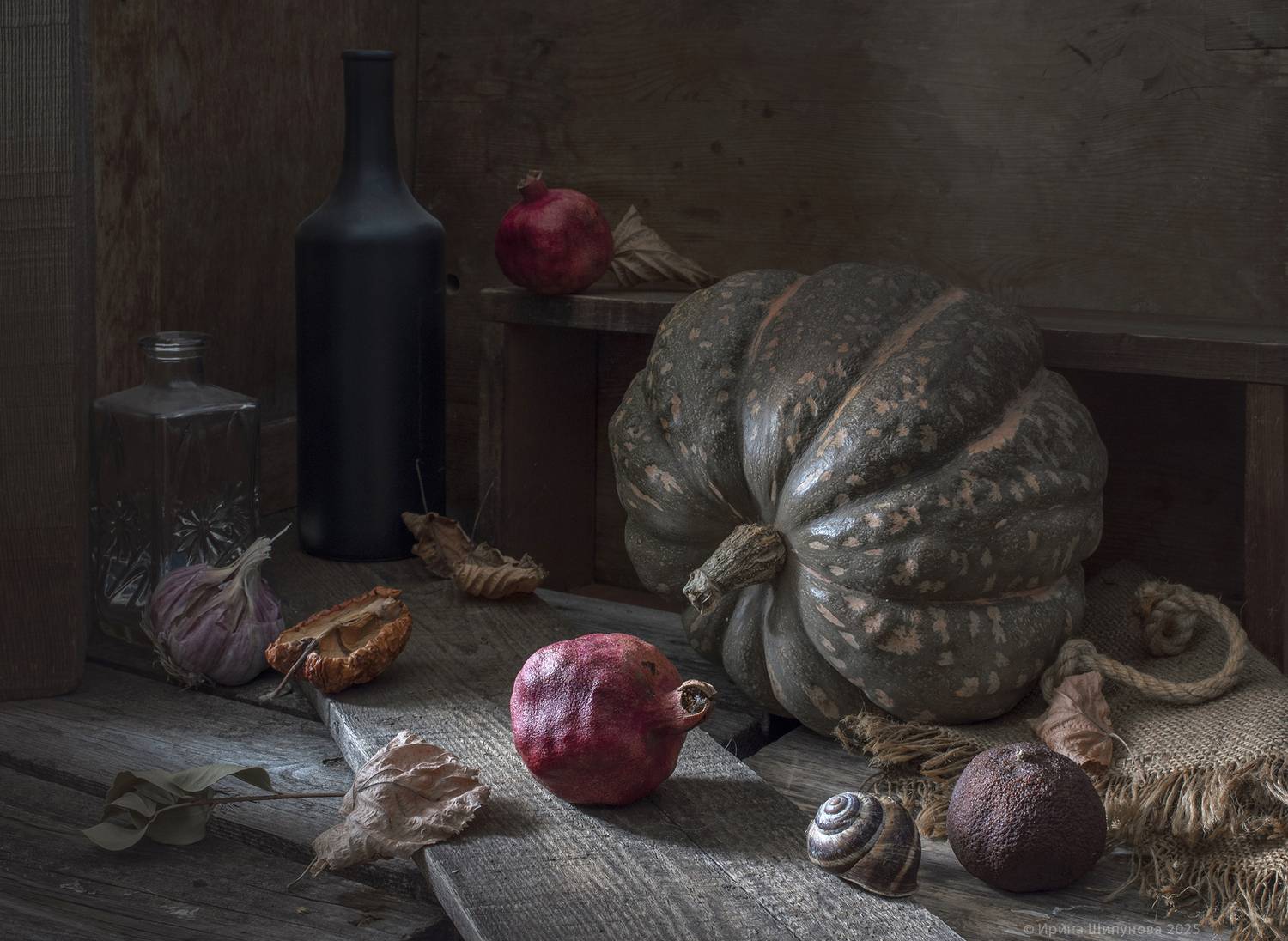 , Шипунова Ирина