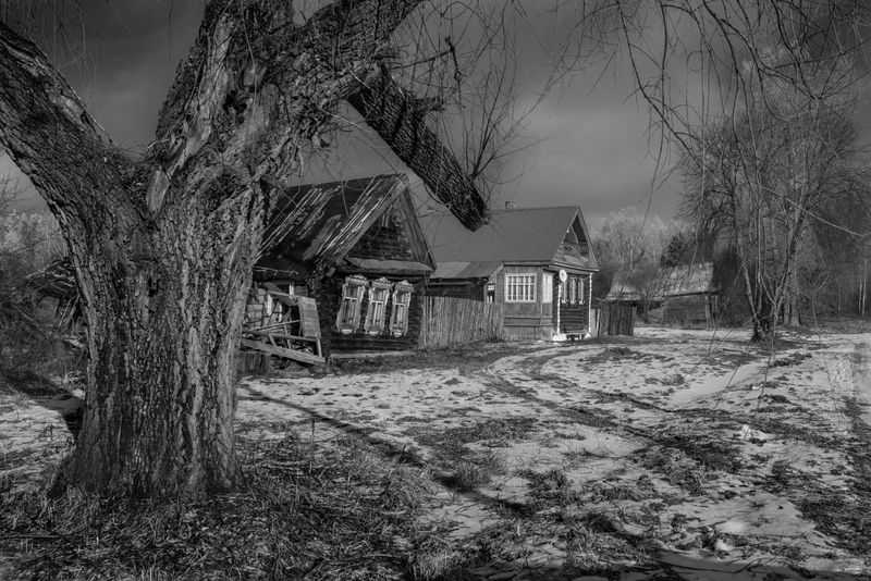 деревня деревья оттепель февраль беляиха Не  зима, не весна.photo preview