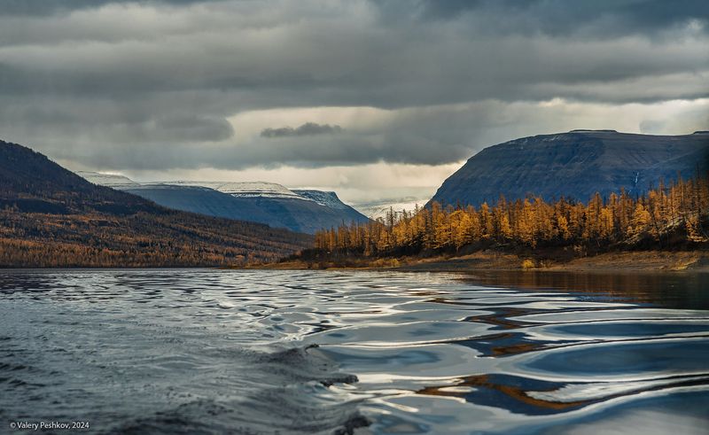 озеро дюпкун, плато путорана, осень, курейка, предзимье, лиственницы, таймыр, заполярье, владимир коваль Дюпкун, дорога домой (2)photo preview