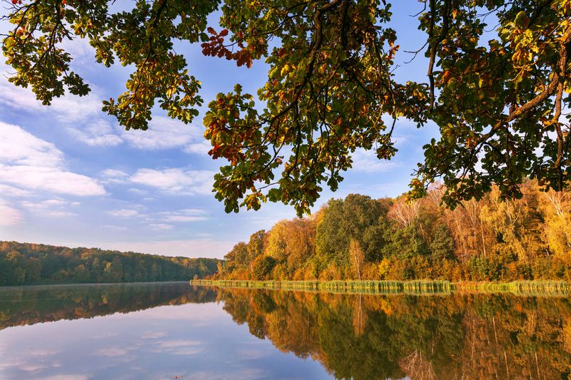 Дыхание осени фото превью