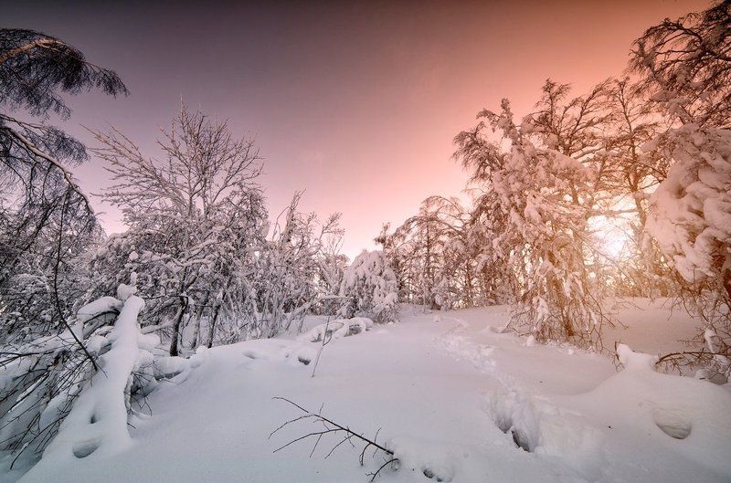 Башкирия, Белорецкий район, Деревья, Снег, Солнце, Утро *** фото превью