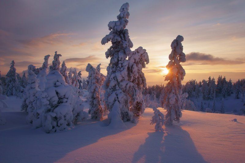 Заполярье, Кандалакша, Кольский полуостров Солнце Лапландииphoto preview