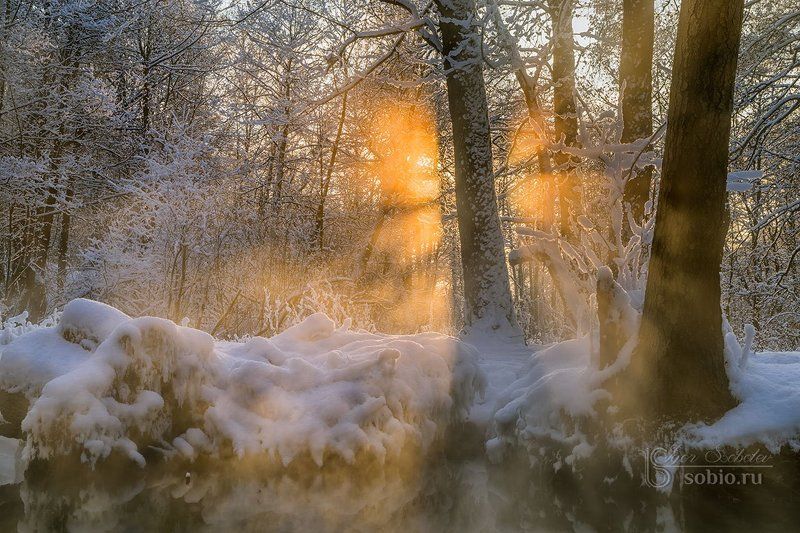beauty, branches, fairy tale, ice, landscape, morning, rays, river, russia, snow, sun, trees, water, winter, ветки, вода, деревья, зима, красота, лед, лучи, пейзаж, речка, россия, сказка, снег, солнце, утро Игра в пряткиphoto preview