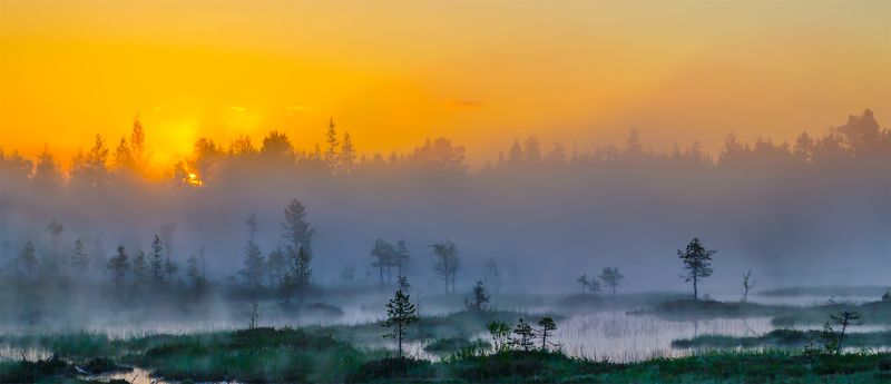 Болото, Восход, Карелия, Лето, Панорама, Пейзаж, Природа, Рассвет, Север, Туман, Утро Туманное утроphoto preview