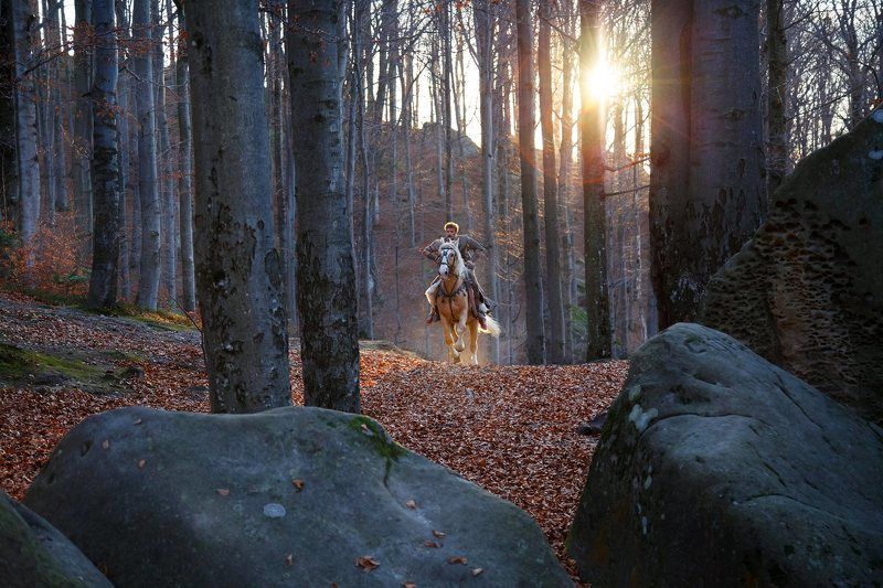 дмитрий, Ukraine