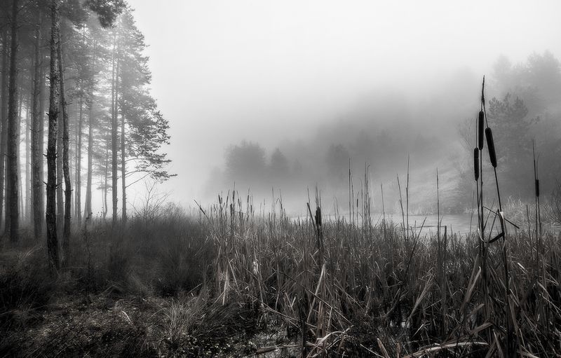 В туманеphoto preview