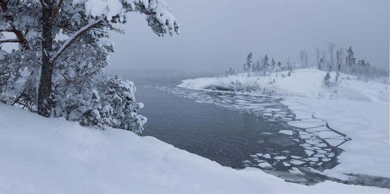 карелия, снегопад, ладога, зимняя ладога, тишина, остров, шхеры Silence of the snowfallphoto preview