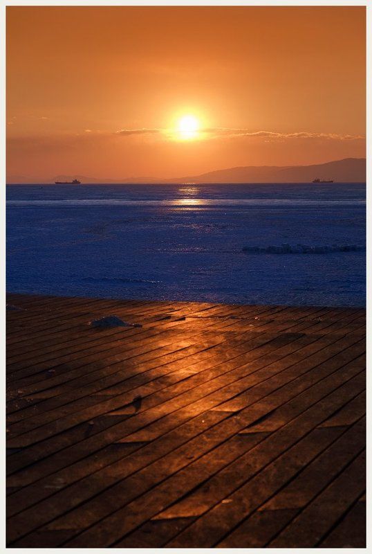 Море зимних цветовphoto preview