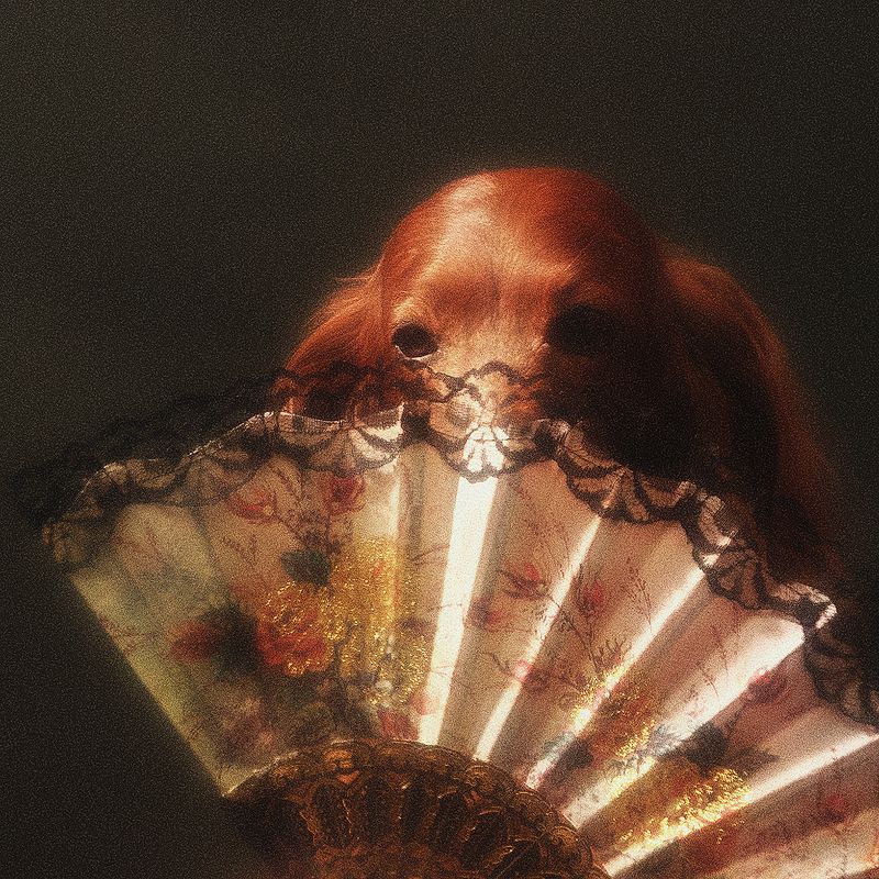 собака, сеттер, арт, портрет,  С вееромphoto preview