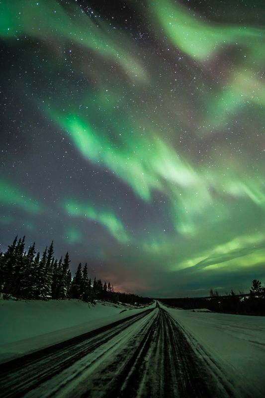 Christy Turner, Canada