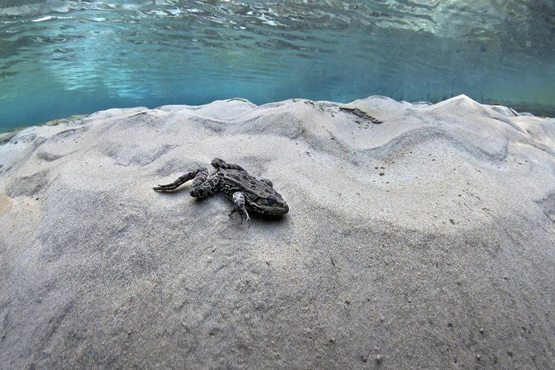 Пляжphoto preview