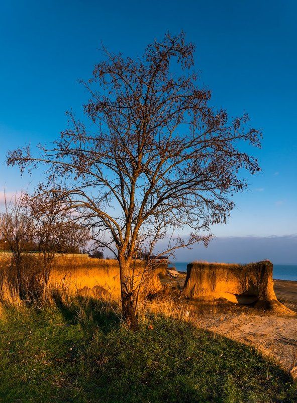 Просто зимний закат за огородомphoto preview