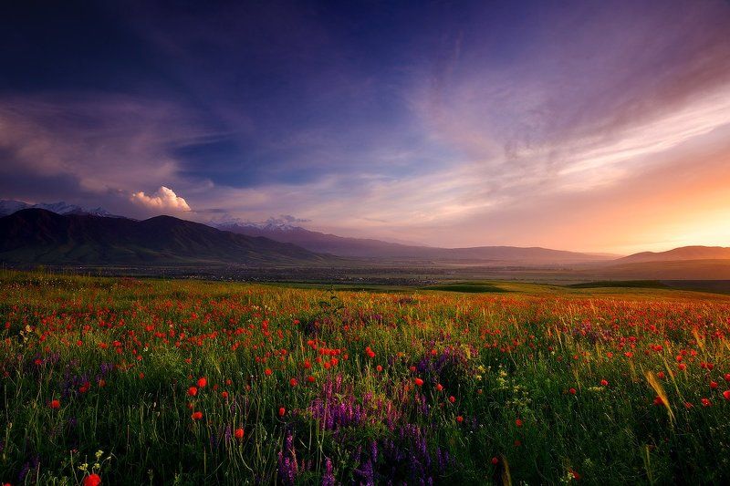 Lazy Vlad, Kyrgyzstan (Kyrgyzstan)
