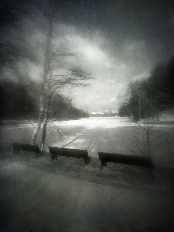 чб, пейзаж, весна Весна идёт, весне дорогу!photo preview