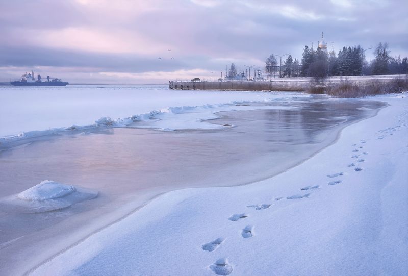 зима, декабрь, река, мороз, снег, лед, следы, деревья, кусты, набережная, архангельск Молчаливые знаки следов...photo preview