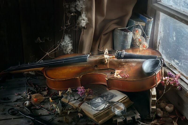 violin, still life Csendélet hegeűvel - fordítvaphoto preview