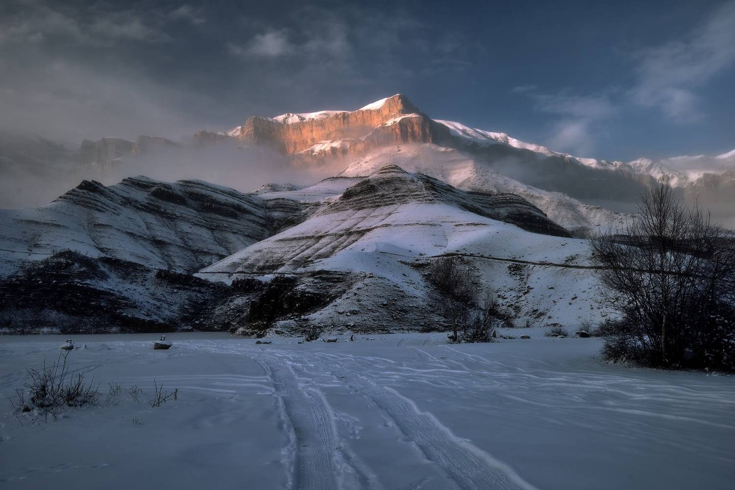 , Алексей Никонов