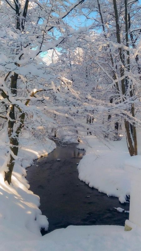 Зимы прощальный бал.photo preview