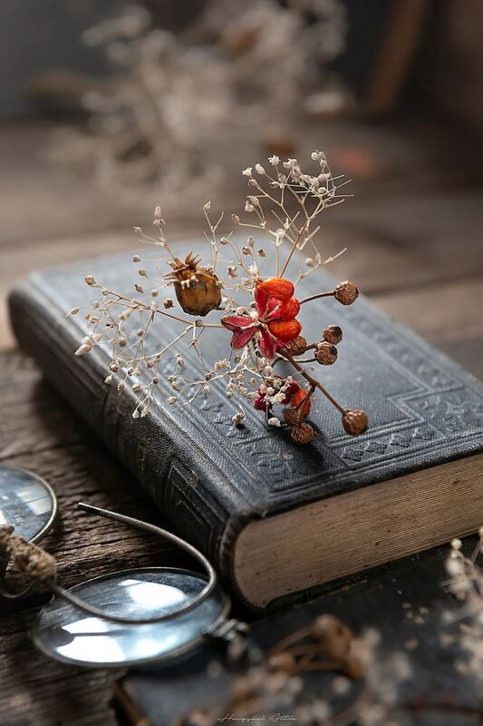 Minimal stil lifephoto preview