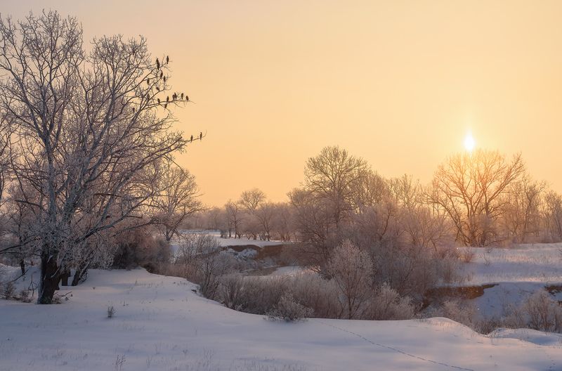 кавказ, кмв, кавказские минеральные воды, георгиевск, бакланы, зима, зимний рассвет Морозное утро на реке Кумаphoto preview