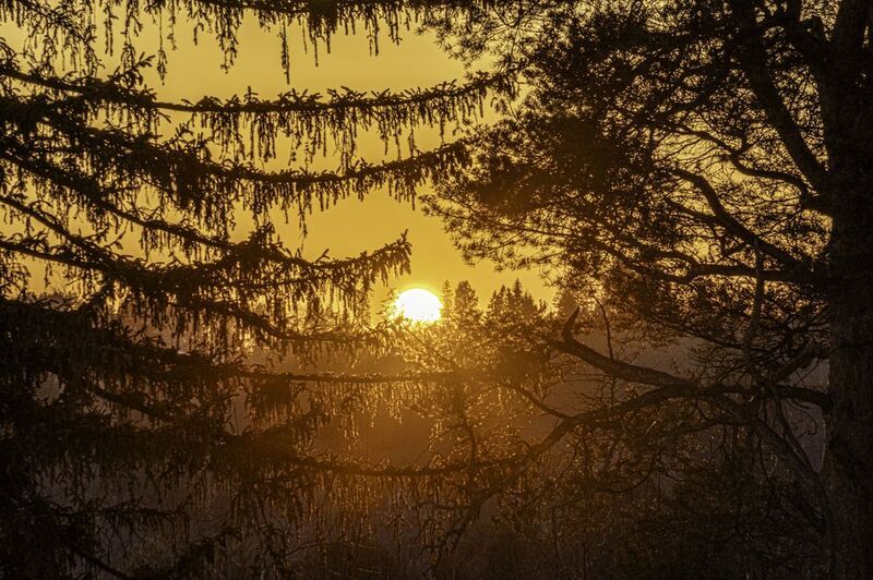Московская область, Подмосковье, Сорочаны, закат Последнее зимнее Ярилоphoto preview
