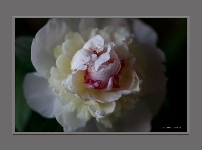 Этюдphoto preview