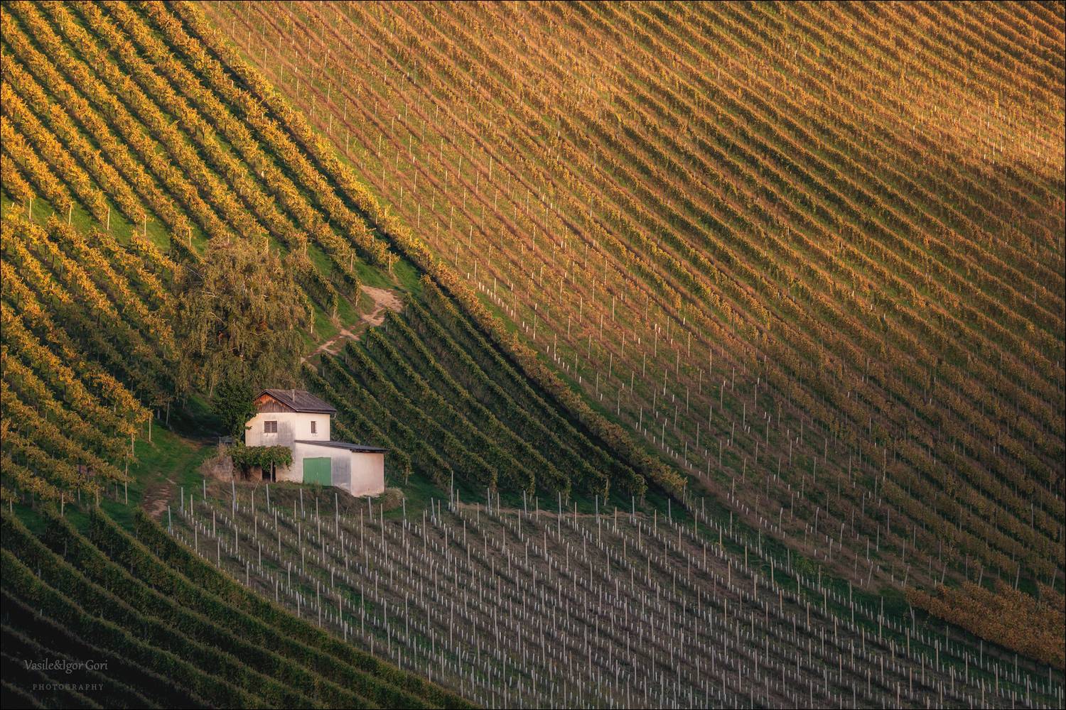 штирия,гамлитц,свет,австрия,gamlitz- sernau,landscape,панорама,осень,виноградники, Гори Василий