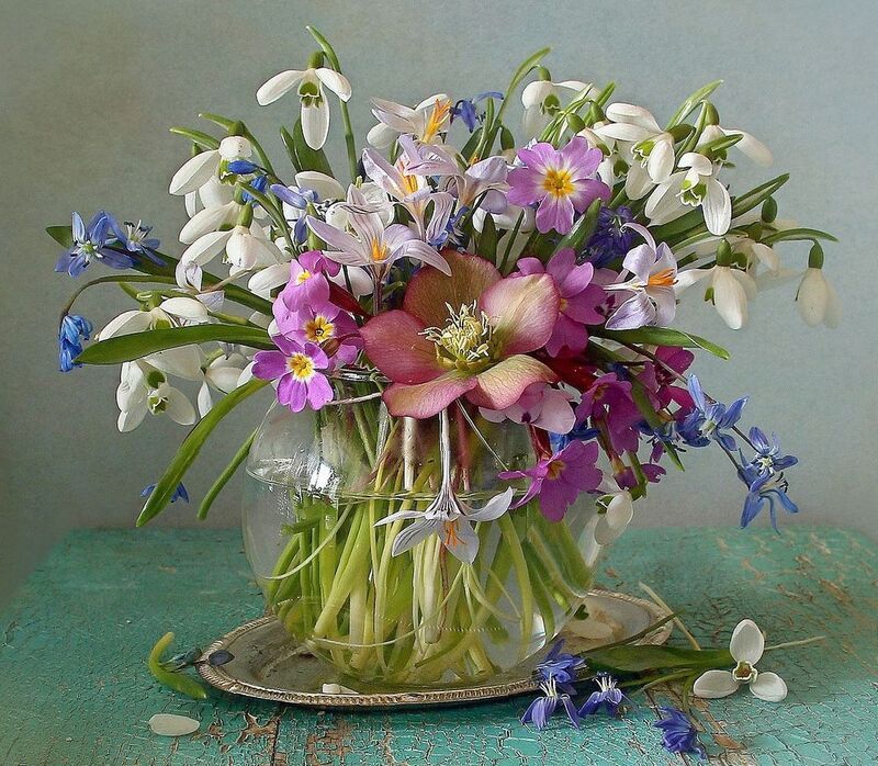 #натюрморт #фотонатюрморт #весна #цветы #художественноефото #маринафилатова #stilllife #букет #весенниецветы Согреты солнечным теплом фото превью