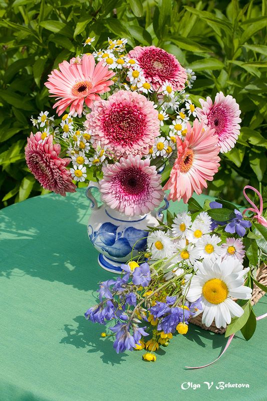 цветы натюрморт герберы Герберы и ромашкиphoto preview