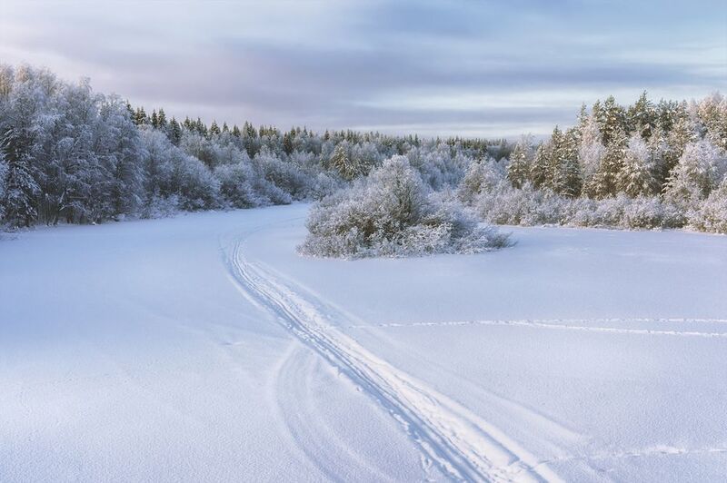 зима река след снег иней деревья кусты мороз След на изгибе застывшей реки...photo preview