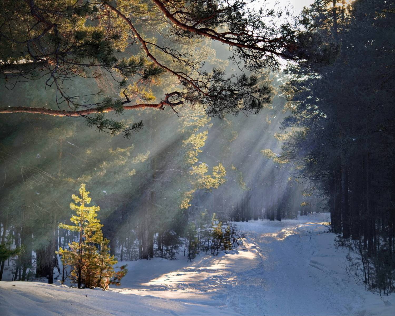 , Кузнецов Дмитрий