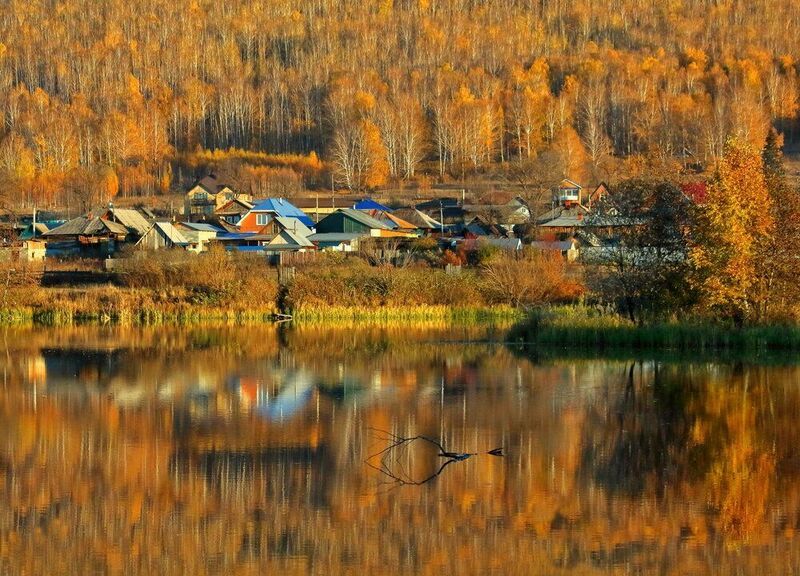 отражение Жила-плыла веткаphoto preview