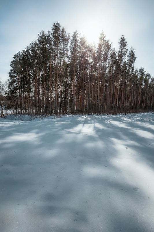 пейзаж, весна, природа, Московская область, март, весеннее солнце Мартphoto preview