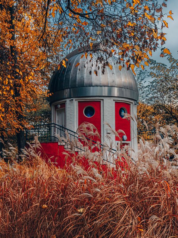 осень, москва ,паркгорького ,городской пейзаж ,осенние краски ,золотаяосень Одинокий рыцарь в ожидании ретроградного меркурияphoto preview