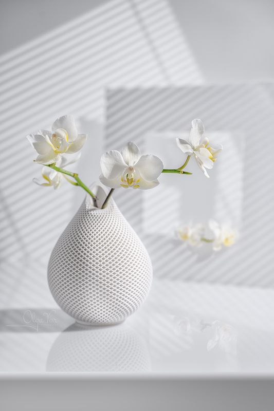орхидея, белый цвет, цветы Нежная веснаphoto preview