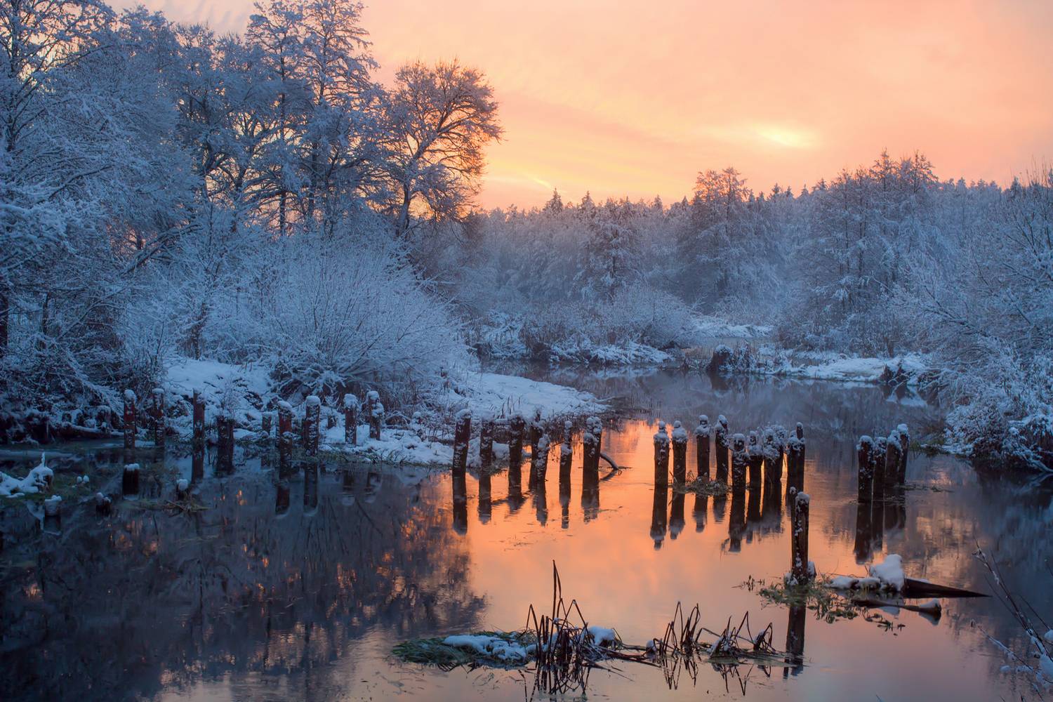 , Игорь Денисов