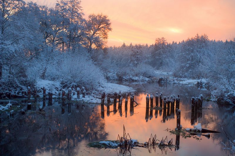 ********photo preview