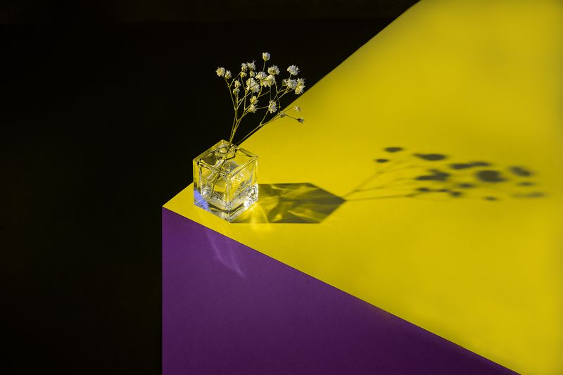 цвет натюрморт фиолетовый желтый красный зеленый геометрия Цветотерапияphoto preview